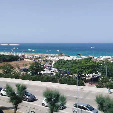 Al Mare Монополи